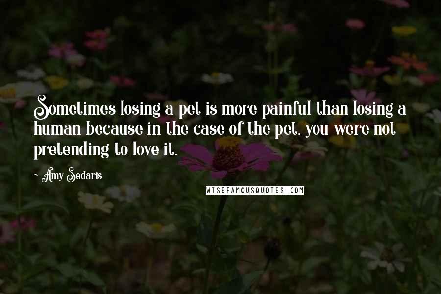 Amy Sedaris Quotes: Sometimes losing a pet is more painful than losing a human because in the case of the pet, you were not pretending to love it.