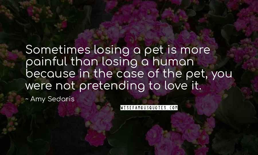 Amy Sedaris Quotes: Sometimes losing a pet is more painful than losing a human because in the case of the pet, you were not pretending to love it.