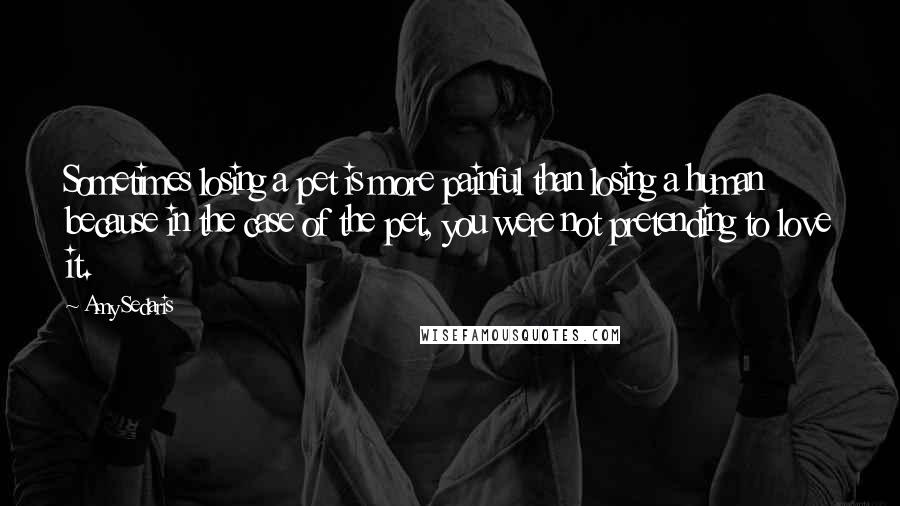 Amy Sedaris Quotes: Sometimes losing a pet is more painful than losing a human because in the case of the pet, you were not pretending to love it.