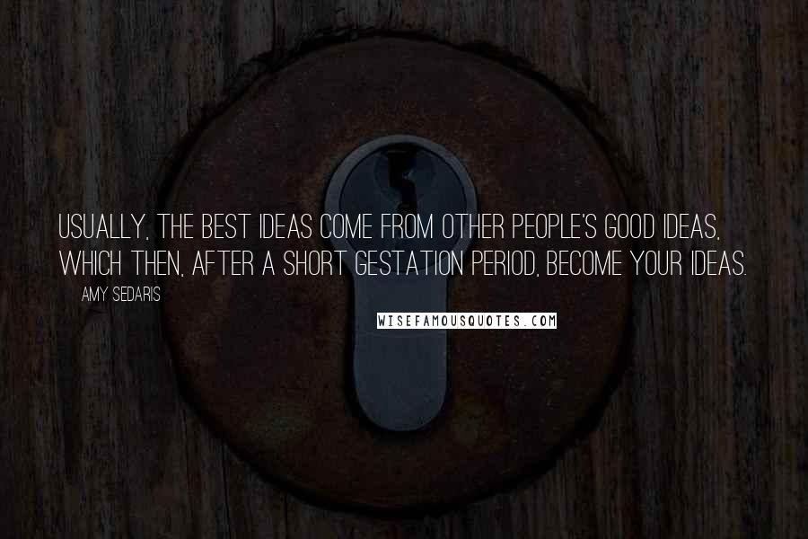 Amy Sedaris Quotes: Usually, the best ideas come from other people's good ideas, which then, after a short gestation period, become your ideas.