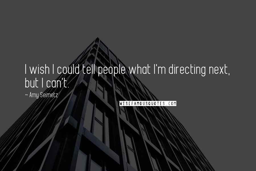 Amy Seimetz Quotes: I wish I could tell people what I'm directing next, but I can't.