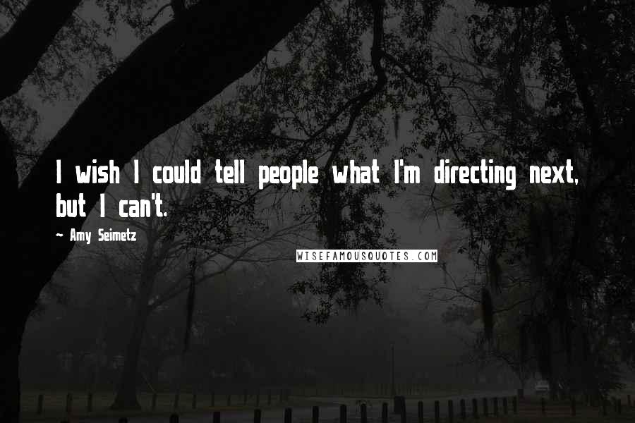 Amy Seimetz Quotes: I wish I could tell people what I'm directing next, but I can't.