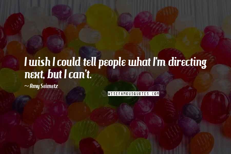 Amy Seimetz Quotes: I wish I could tell people what I'm directing next, but I can't.