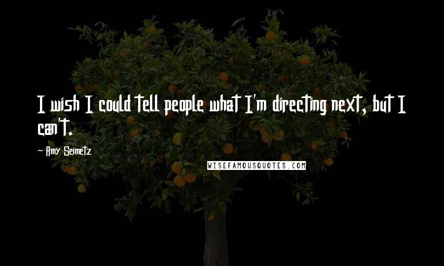 Amy Seimetz Quotes: I wish I could tell people what I'm directing next, but I can't.