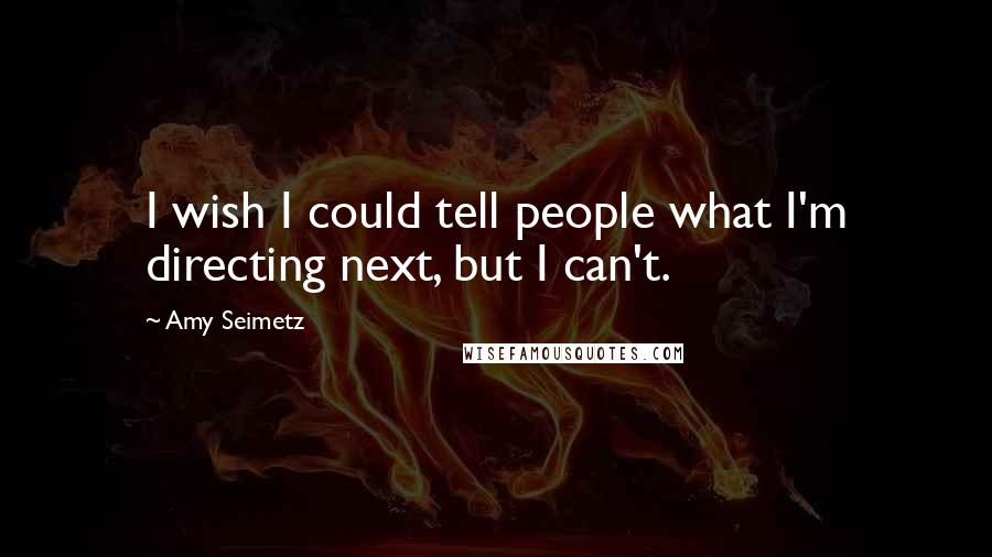 Amy Seimetz Quotes: I wish I could tell people what I'm directing next, but I can't.