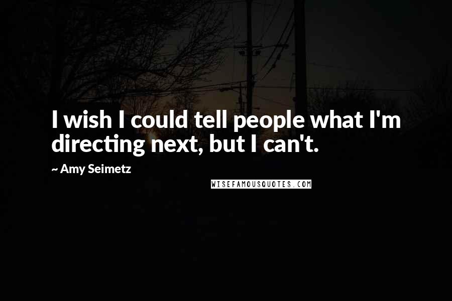 Amy Seimetz Quotes: I wish I could tell people what I'm directing next, but I can't.