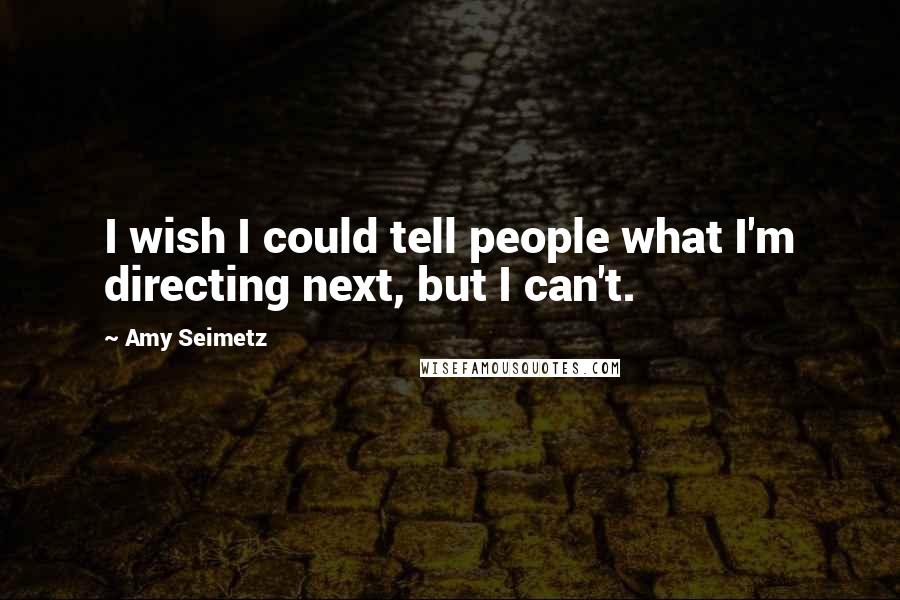 Amy Seimetz Quotes: I wish I could tell people what I'm directing next, but I can't.