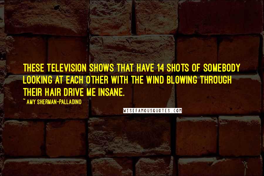 Amy Sherman-Palladino Quotes: These television shows that have 14 shots of somebody looking at each other with the wind blowing through their hair drive me insane.