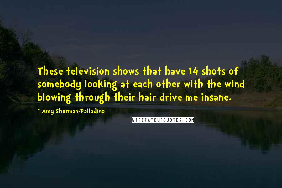 Amy Sherman-Palladino Quotes: These television shows that have 14 shots of somebody looking at each other with the wind blowing through their hair drive me insane.