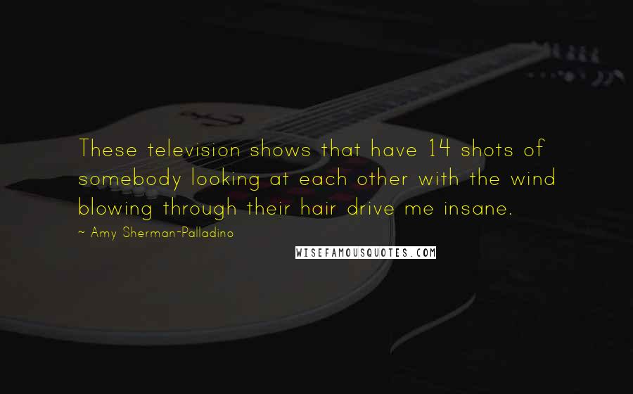 Amy Sherman-Palladino Quotes: These television shows that have 14 shots of somebody looking at each other with the wind blowing through their hair drive me insane.