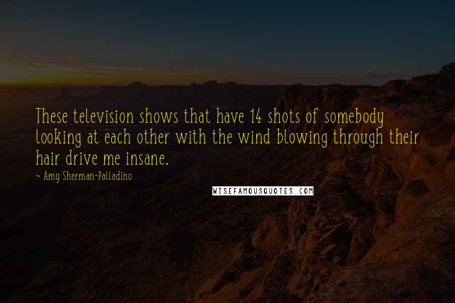 Amy Sherman-Palladino Quotes: These television shows that have 14 shots of somebody looking at each other with the wind blowing through their hair drive me insane.