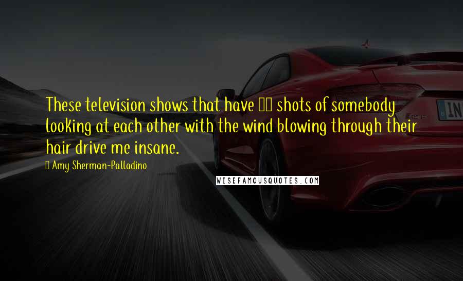 Amy Sherman-Palladino Quotes: These television shows that have 14 shots of somebody looking at each other with the wind blowing through their hair drive me insane.