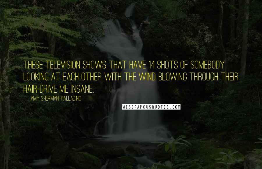 Amy Sherman-Palladino Quotes: These television shows that have 14 shots of somebody looking at each other with the wind blowing through their hair drive me insane.