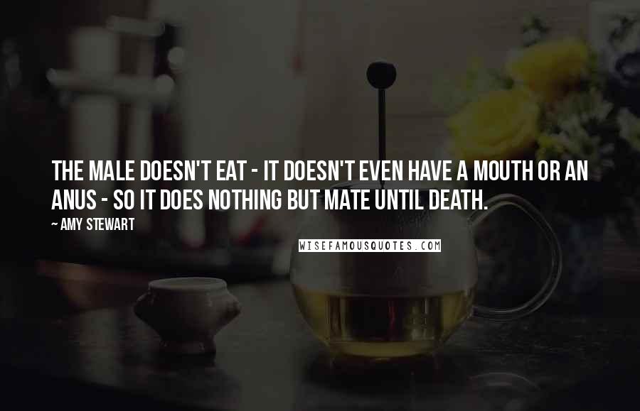 Amy Stewart Quotes: The male doesn't eat - it doesn't even have a mouth or an anus - so it does nothing but mate until death.