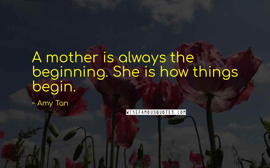 Amy Tan Quotes: A mother is always the beginning. She is how things begin.
