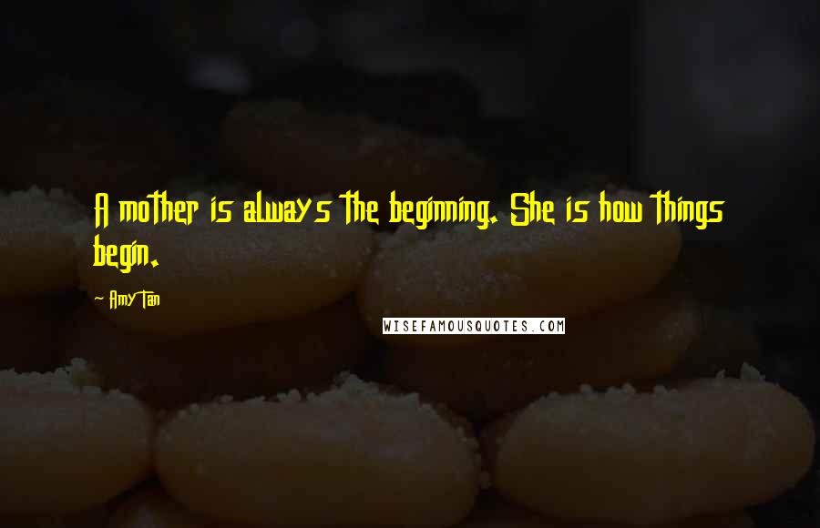 Amy Tan Quotes: A mother is always the beginning. She is how things begin.