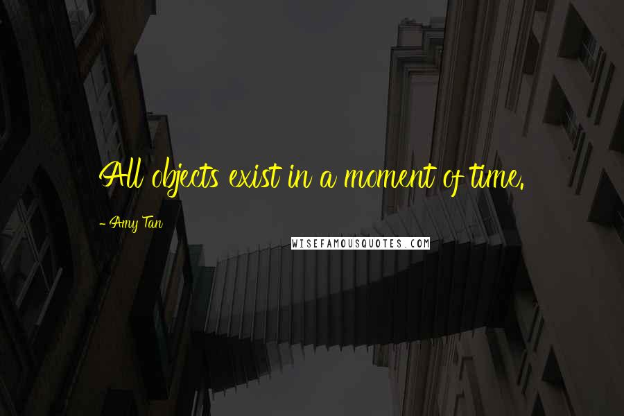 Amy Tan Quotes: All objects exist in a moment of time.