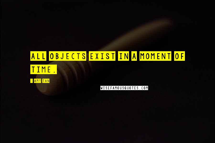 Amy Tan Quotes: All objects exist in a moment of time.