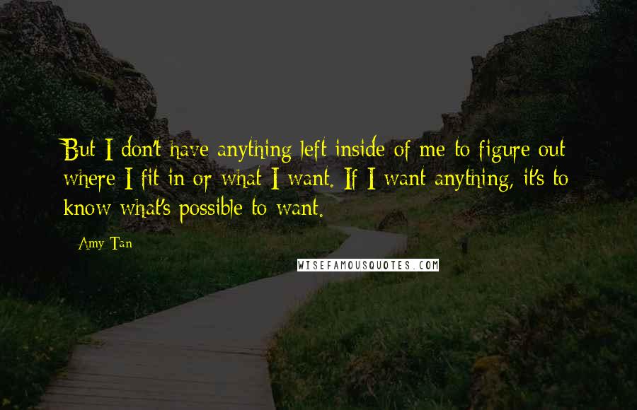 Amy Tan Quotes: But I don't have anything left inside of me to figure out where I fit in or what I want. If I want anything, it's to know what's possible to want.