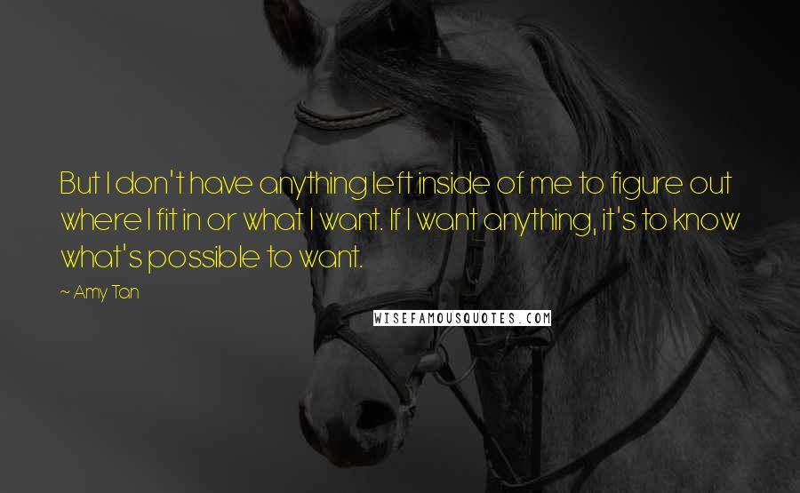 Amy Tan Quotes: But I don't have anything left inside of me to figure out where I fit in or what I want. If I want anything, it's to know what's possible to want.