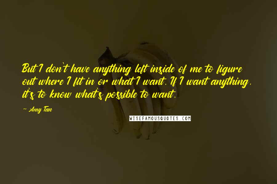 Amy Tan Quotes: But I don't have anything left inside of me to figure out where I fit in or what I want. If I want anything, it's to know what's possible to want.