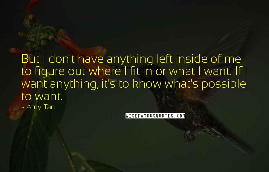 Amy Tan Quotes: But I don't have anything left inside of me to figure out where I fit in or what I want. If I want anything, it's to know what's possible to want.