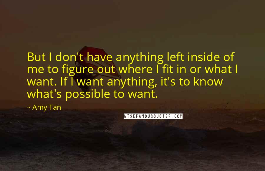 Amy Tan Quotes: But I don't have anything left inside of me to figure out where I fit in or what I want. If I want anything, it's to know what's possible to want.