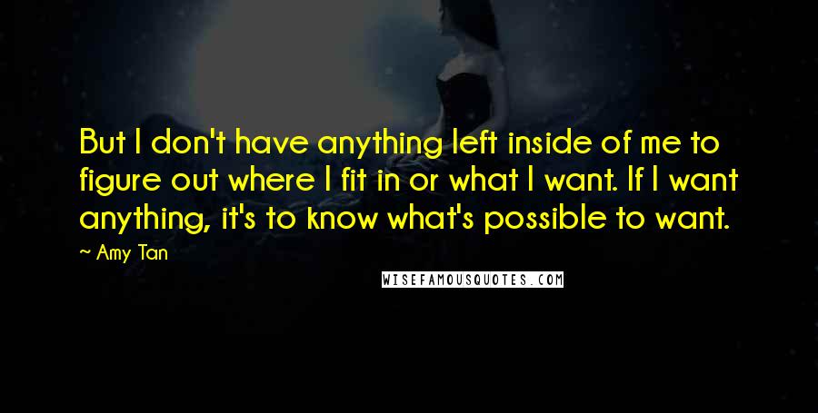 Amy Tan Quotes: But I don't have anything left inside of me to figure out where I fit in or what I want. If I want anything, it's to know what's possible to want.