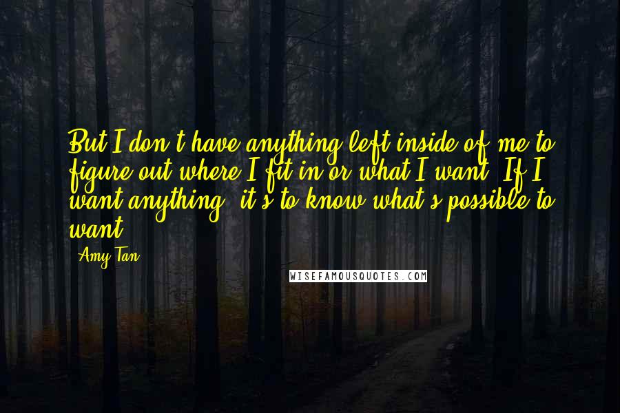Amy Tan Quotes: But I don't have anything left inside of me to figure out where I fit in or what I want. If I want anything, it's to know what's possible to want.