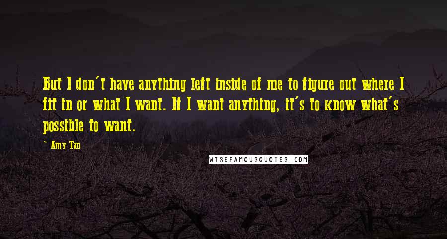 Amy Tan Quotes: But I don't have anything left inside of me to figure out where I fit in or what I want. If I want anything, it's to know what's possible to want.