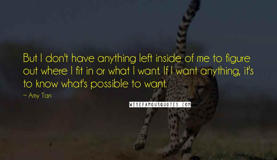 Amy Tan Quotes: But I don't have anything left inside of me to figure out where I fit in or what I want. If I want anything, it's to know what's possible to want.