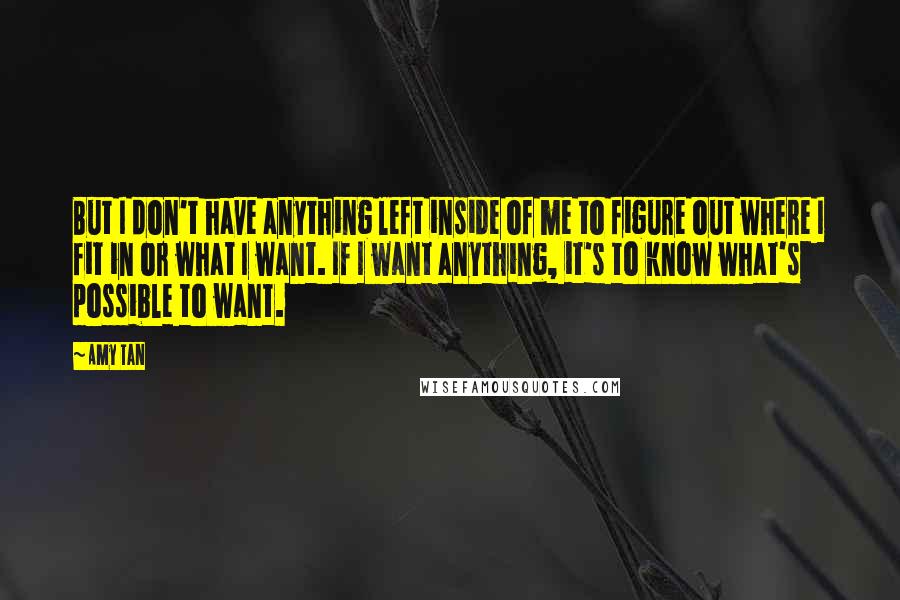 Amy Tan Quotes: But I don't have anything left inside of me to figure out where I fit in or what I want. If I want anything, it's to know what's possible to want.