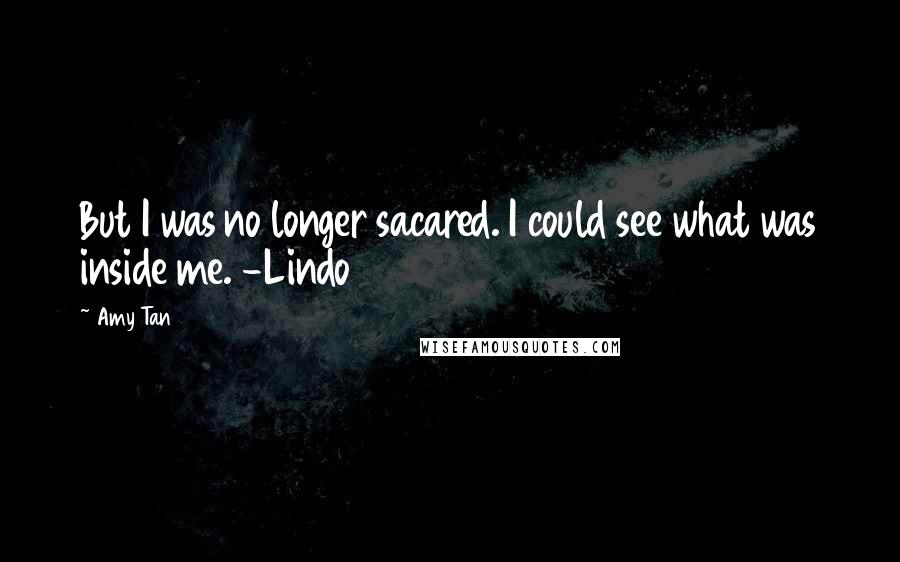 Amy Tan Quotes: But I was no longer sacared. I could see what was inside me. -Lindo