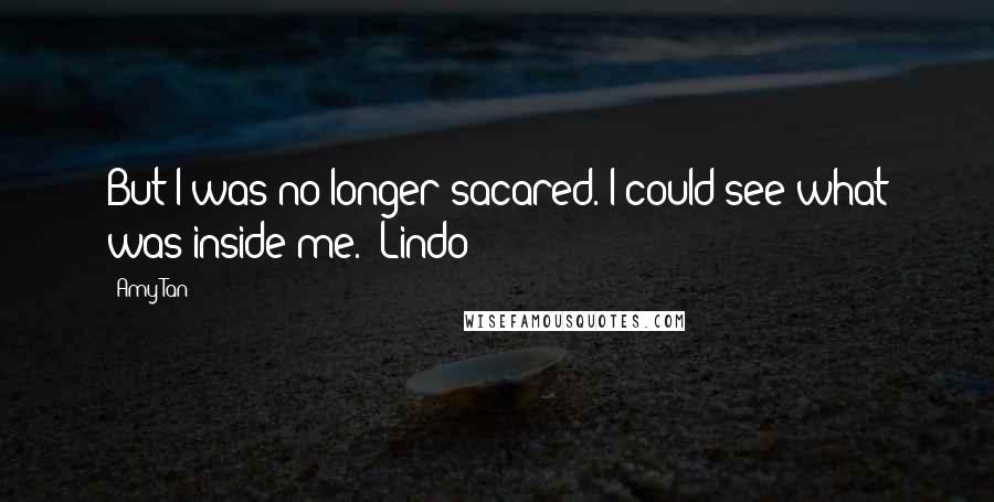 Amy Tan Quotes: But I was no longer sacared. I could see what was inside me. -Lindo