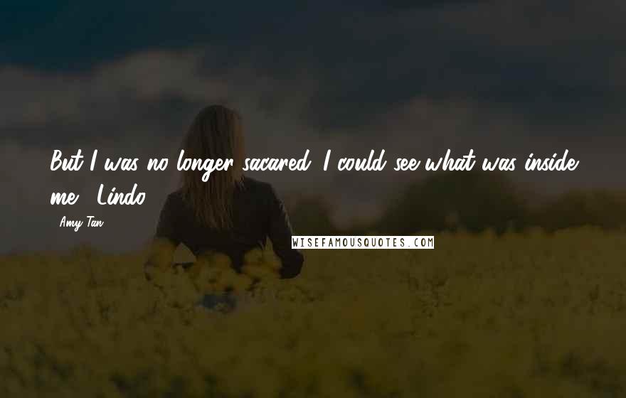 Amy Tan Quotes: But I was no longer sacared. I could see what was inside me. -Lindo