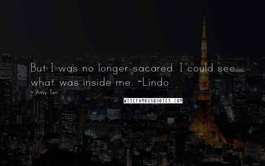 Amy Tan Quotes: But I was no longer sacared. I could see what was inside me. -Lindo