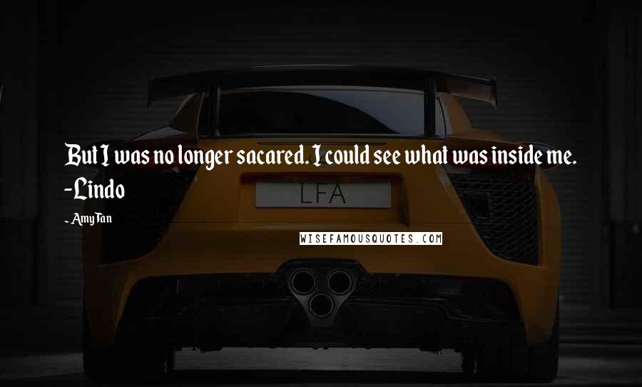 Amy Tan Quotes: But I was no longer sacared. I could see what was inside me. -Lindo