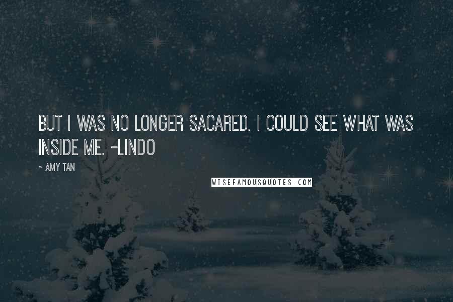 Amy Tan Quotes: But I was no longer sacared. I could see what was inside me. -Lindo