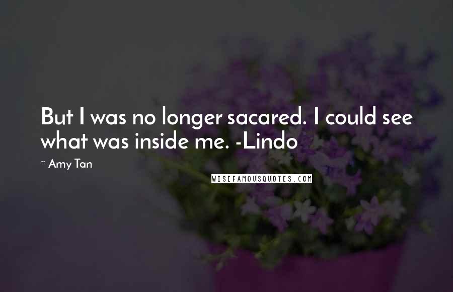 Amy Tan Quotes: But I was no longer sacared. I could see what was inside me. -Lindo