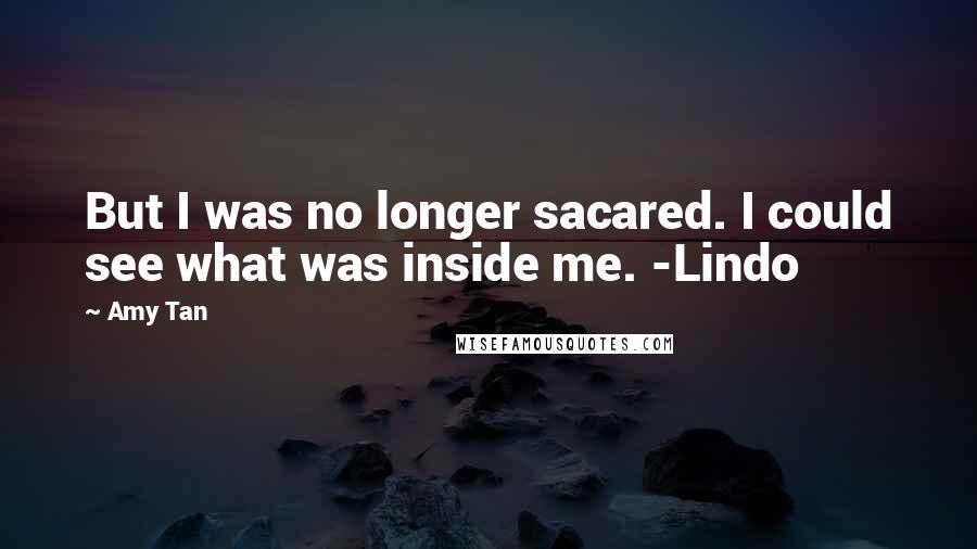 Amy Tan Quotes: But I was no longer sacared. I could see what was inside me. -Lindo