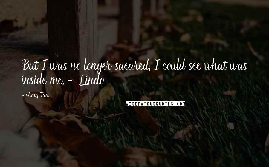 Amy Tan Quotes: But I was no longer sacared. I could see what was inside me. -Lindo