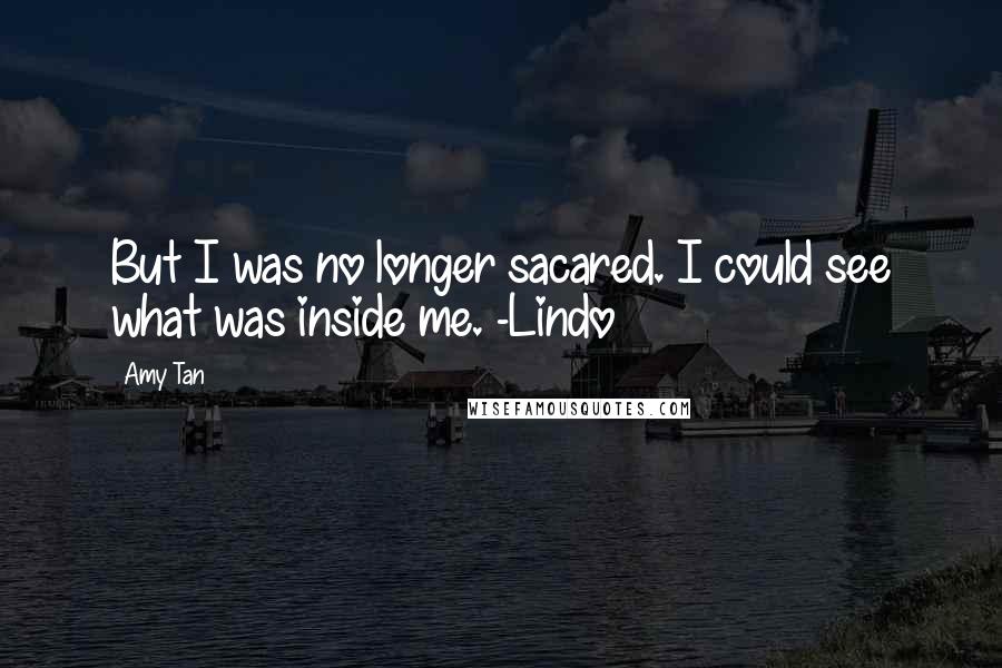 Amy Tan Quotes: But I was no longer sacared. I could see what was inside me. -Lindo