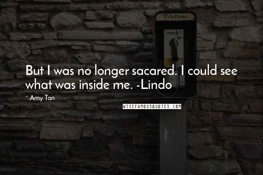 Amy Tan Quotes: But I was no longer sacared. I could see what was inside me. -Lindo