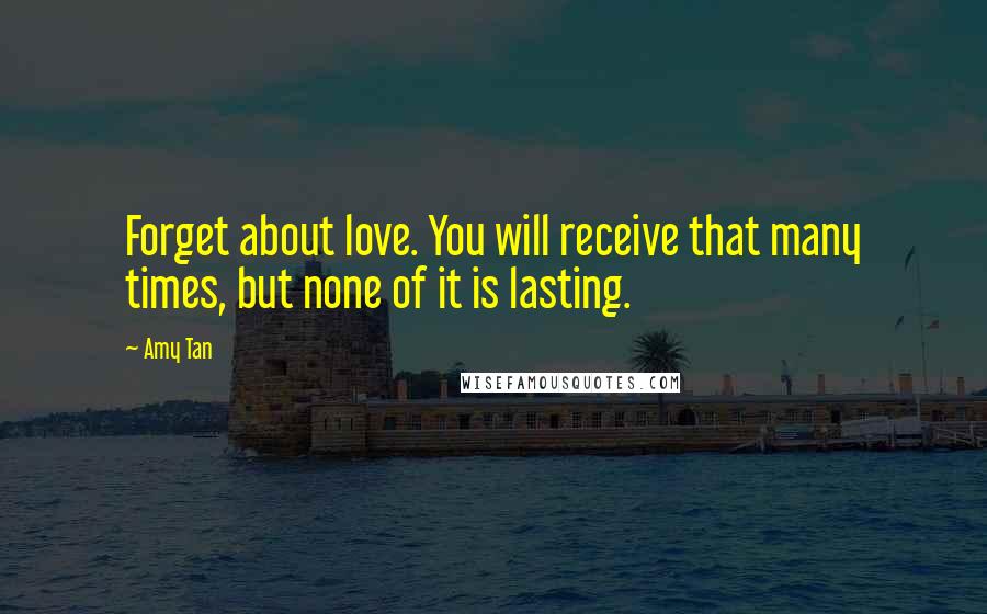 Amy Tan Quotes: Forget about love. You will receive that many times, but none of it is lasting.