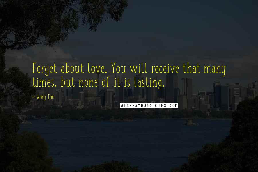 Amy Tan Quotes: Forget about love. You will receive that many times, but none of it is lasting.