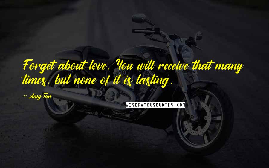 Amy Tan Quotes: Forget about love. You will receive that many times, but none of it is lasting.