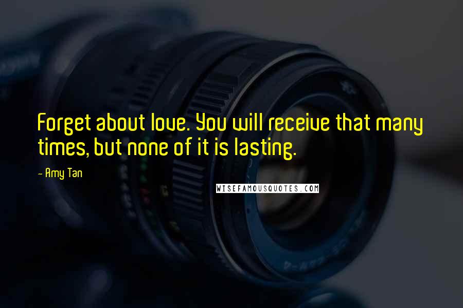 Amy Tan Quotes: Forget about love. You will receive that many times, but none of it is lasting.