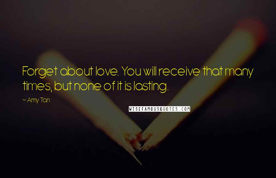 Amy Tan Quotes: Forget about love. You will receive that many times, but none of it is lasting.