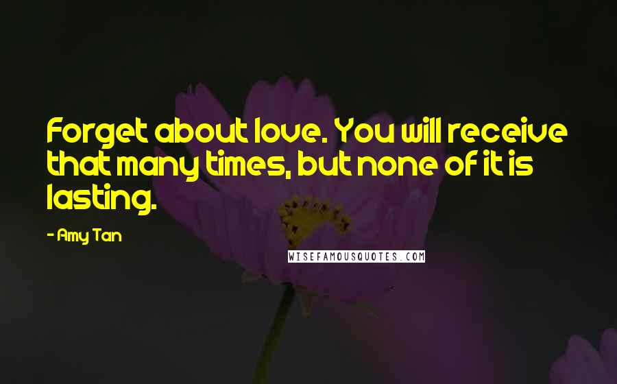 Amy Tan Quotes: Forget about love. You will receive that many times, but none of it is lasting.