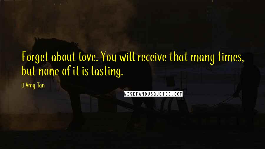 Amy Tan Quotes: Forget about love. You will receive that many times, but none of it is lasting.